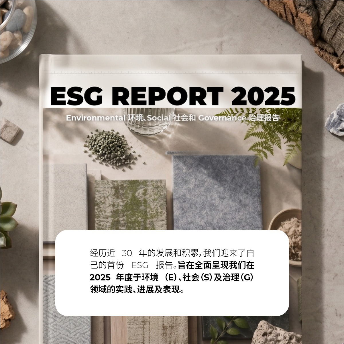 dbd1663f448d703e04a5d1d973504517.png